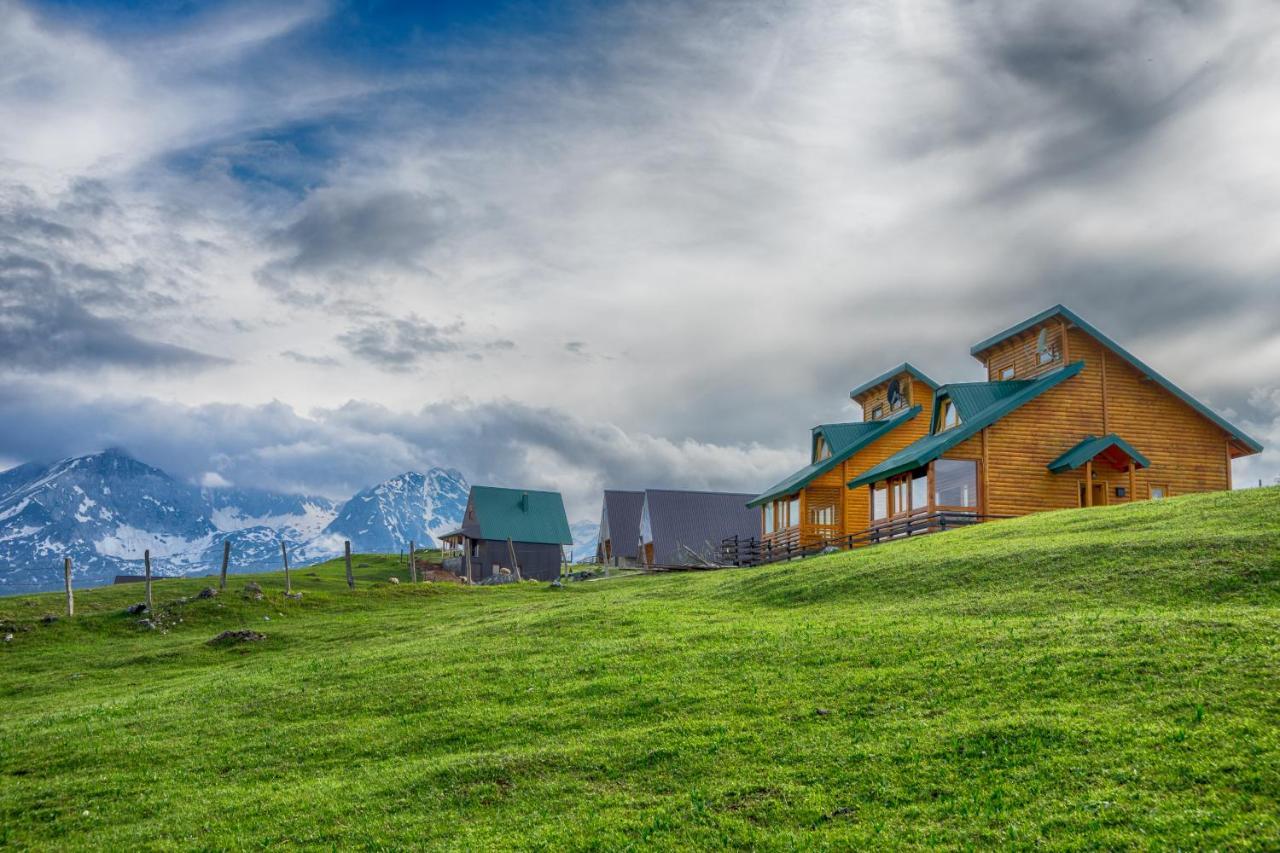 Mountain House Ami *