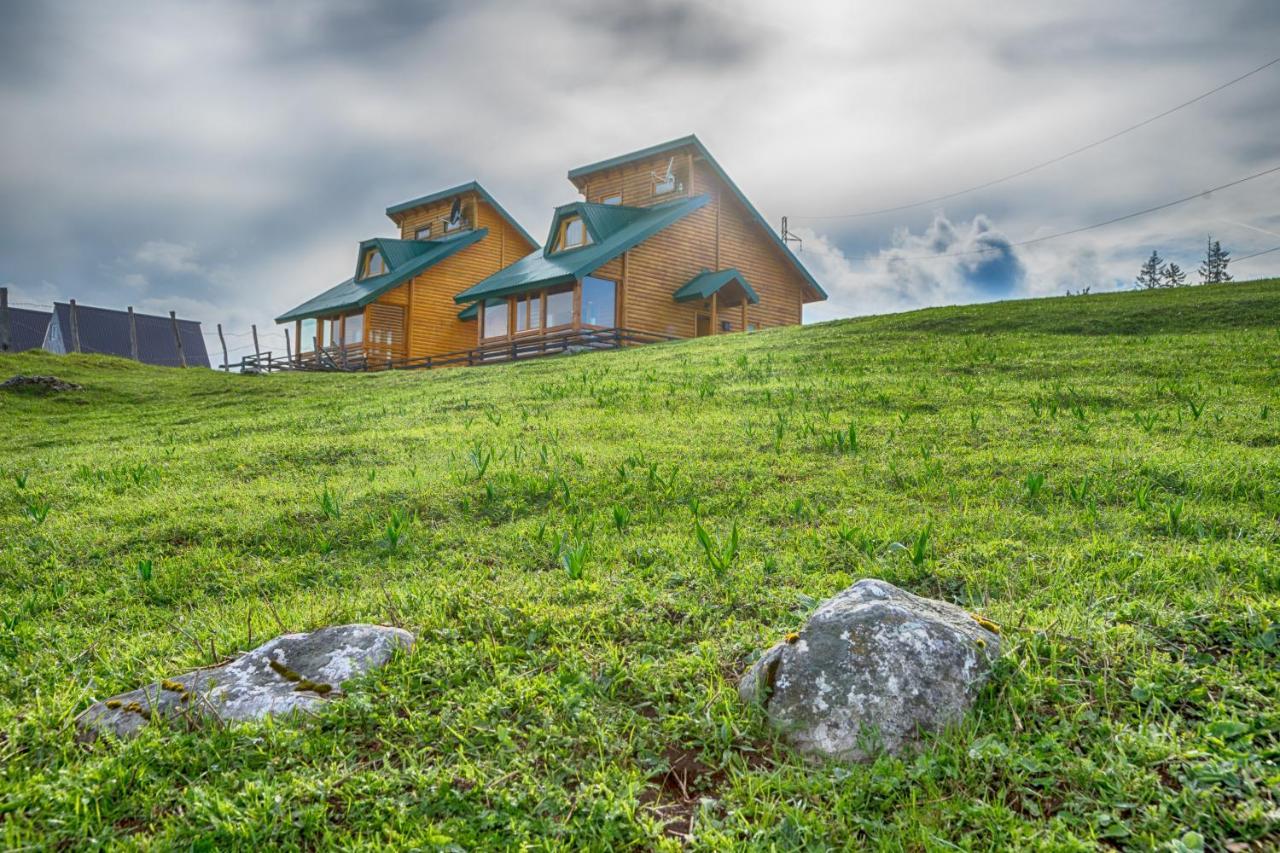 Mountain House Ami Hébergement de vacances