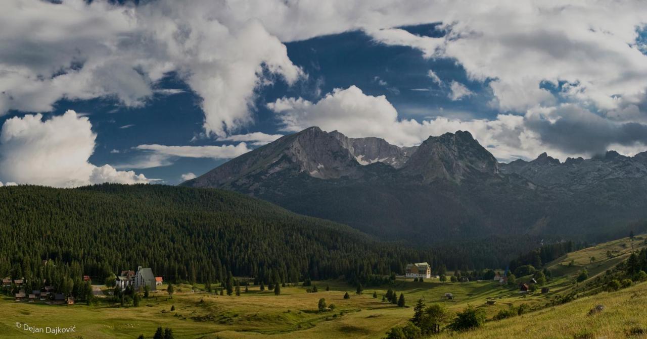 Mountain House Ami * Žabljak
